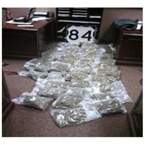 $250,000 worth of marijuana found in Bailey County